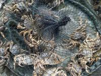 兰博电竞-包含风云突变摩纳哥集结日防线松动，荷甲版图或变，压力陡增，年轻球员得到机会的词条